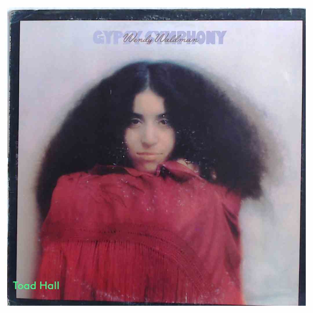 WENDY WALDMAN Gypsy Symphony Used Vinyl LP