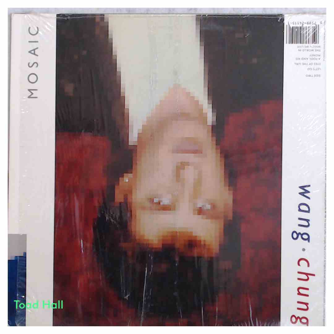 WANG CHUNG Mosaic Used Vinyl LP