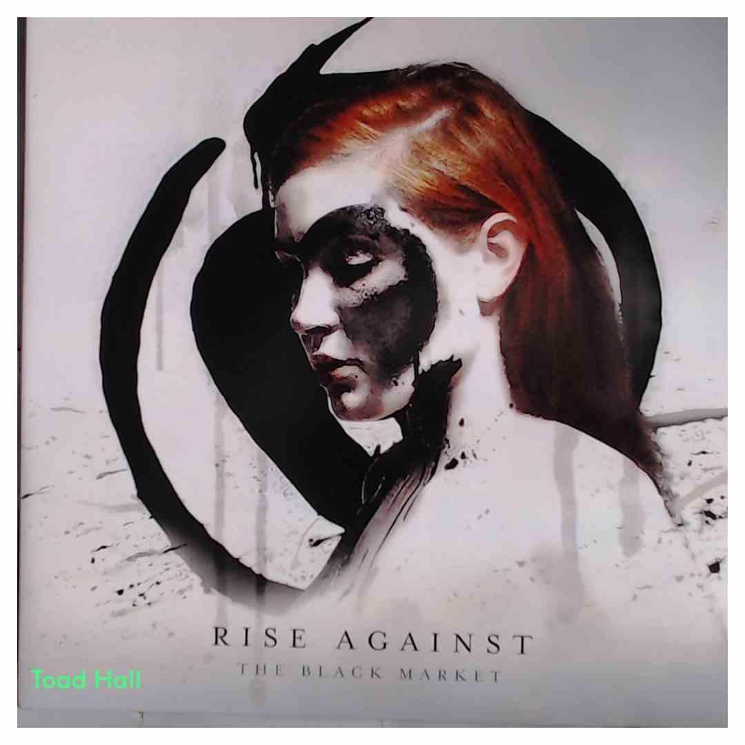 RISE AGAINST The Black Market Used Vinyl LP