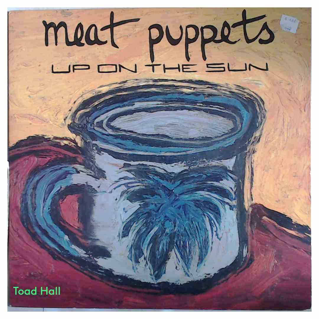 MEAT PUPPETS Up on the Sun Used Vinyl LP