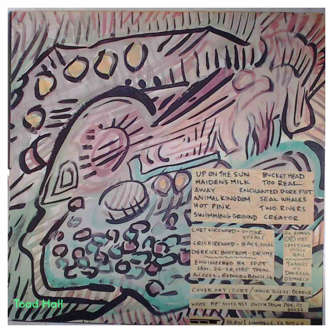 MEAT PUPPETS Up on the Sun Used Vinyl LP