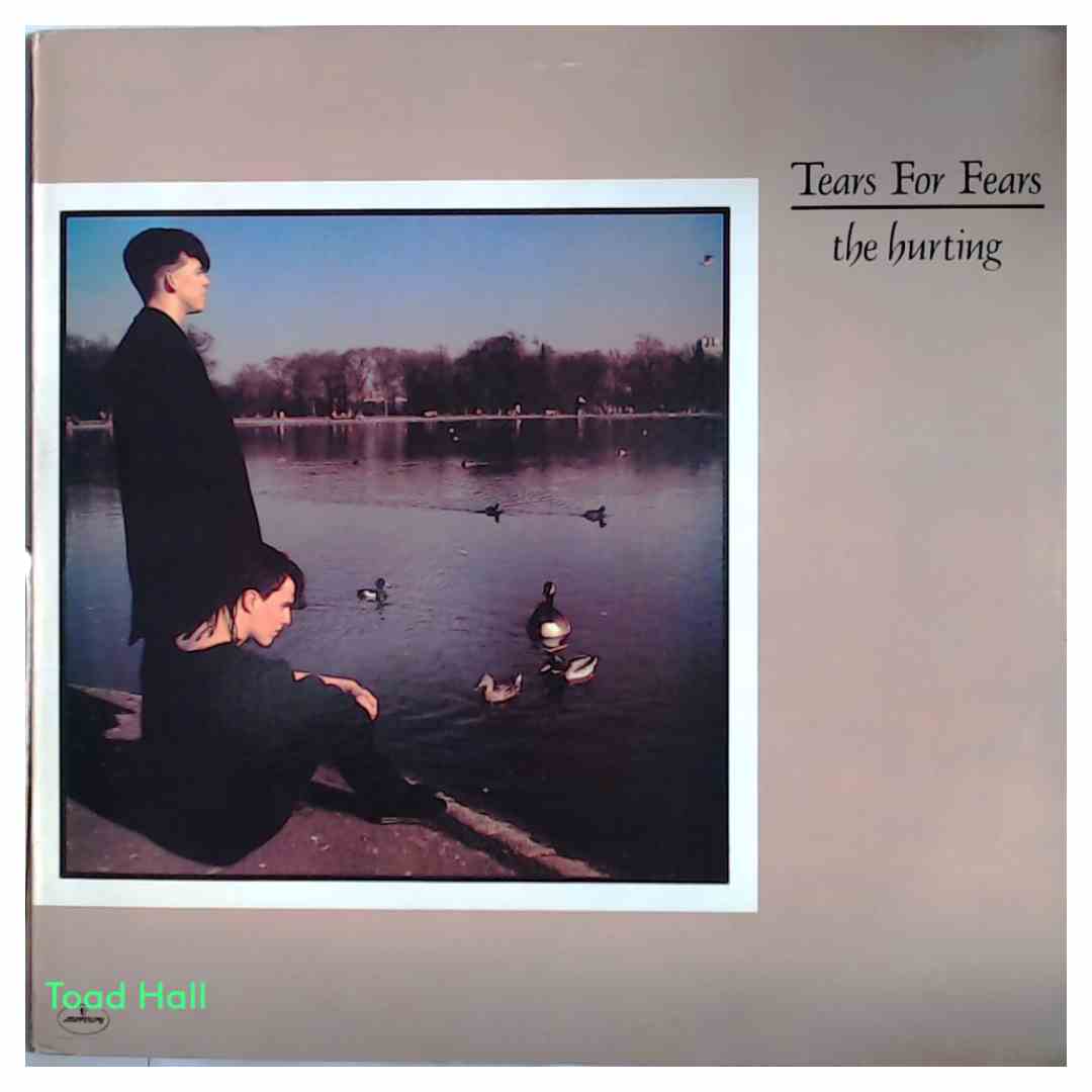 TEARS FOR FEARS The Hurting Used Vinyl LP