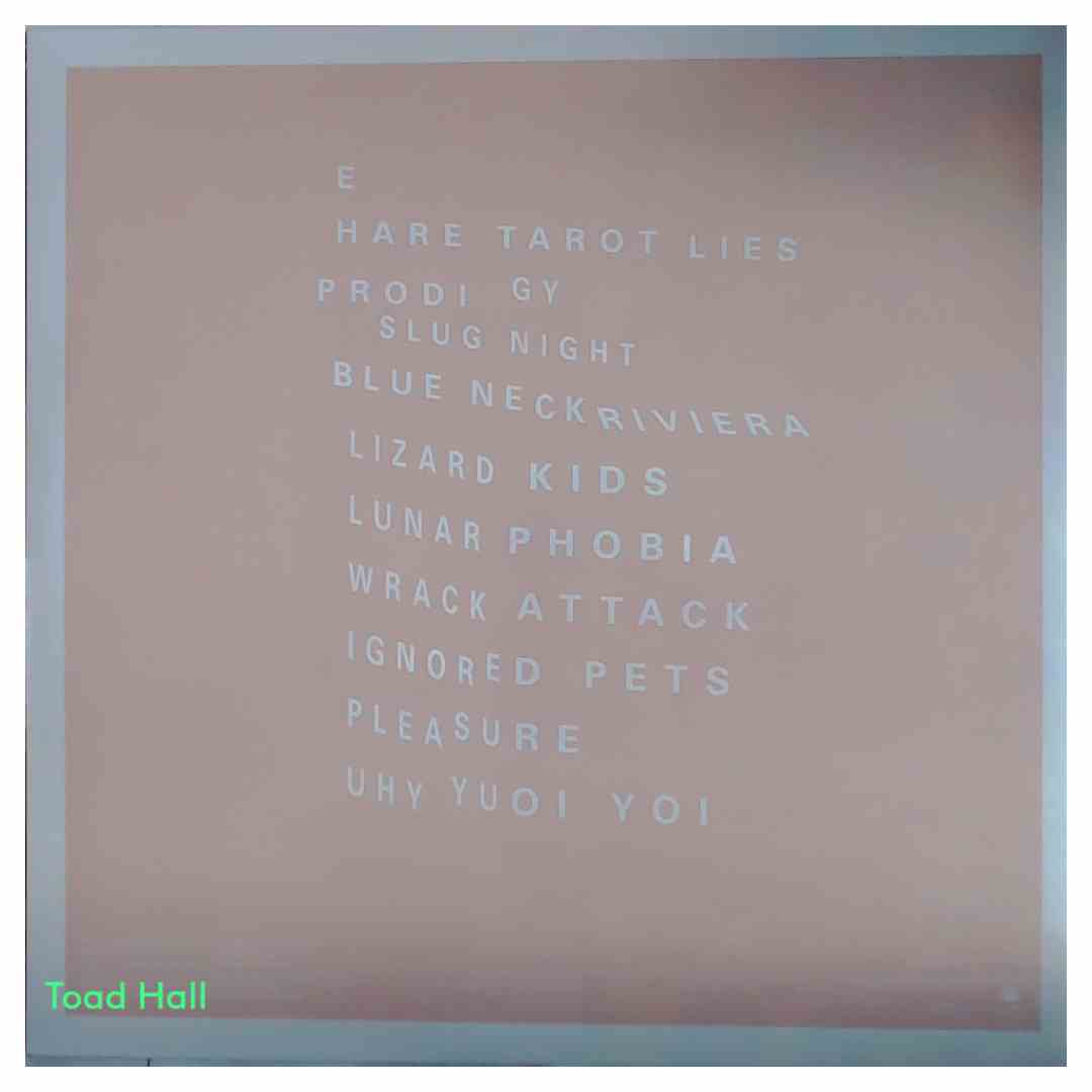 NO JOY Wait To Pleasure Used Vinyl LP