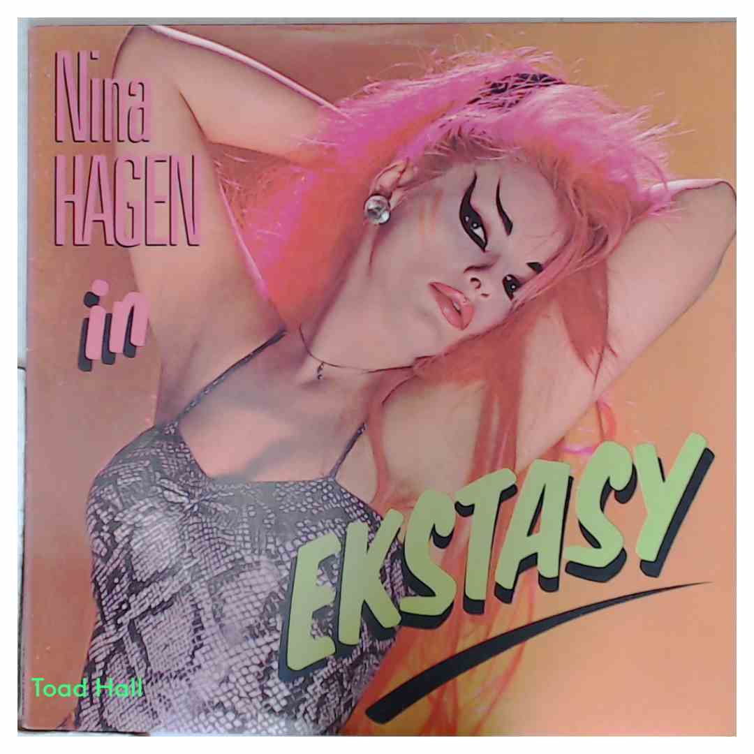 NINA HAGEN In Ekstasy Used Vinyl LP