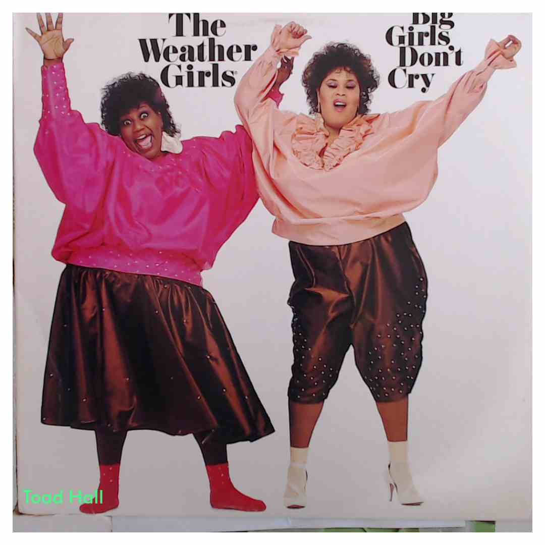 THE WEATHER GIRLS Big Girls Don't Cry Used Vinyl LP