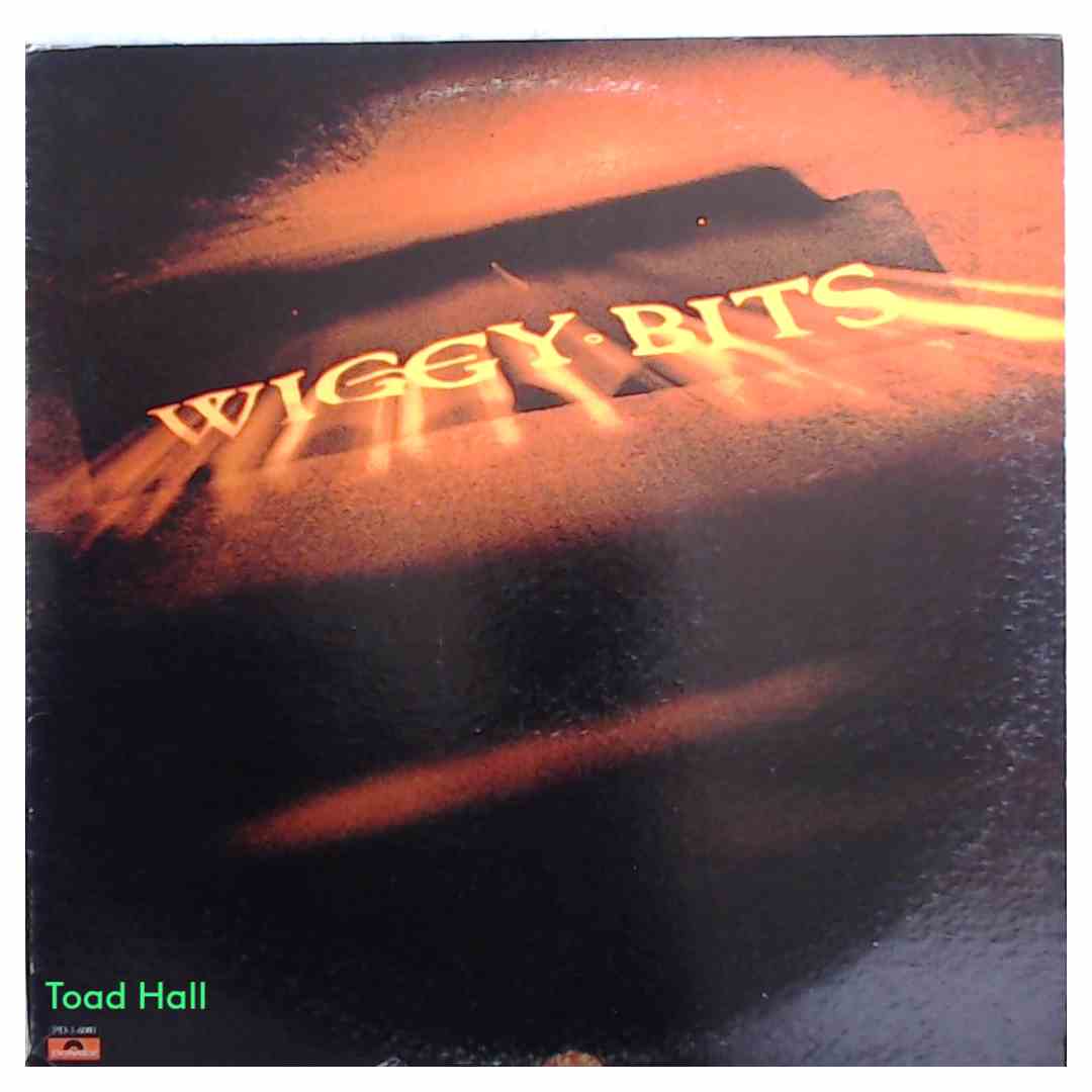 WIGGY BITS Self Titled Promo Used Viny LP