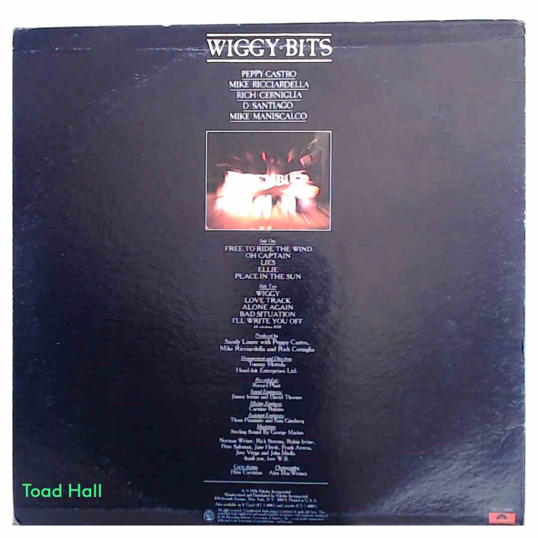 WIGGY BITS Self Titled Promo Used Viny LP