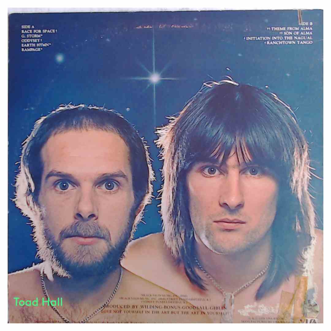 WILDING/BONUS Pleasure Signals (Picture Disc) Used Vinyl LP