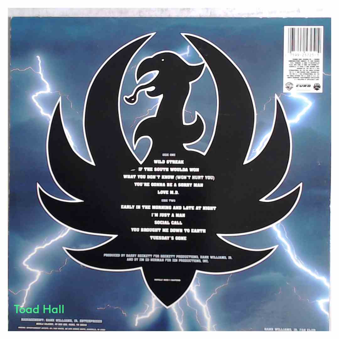 HANK WILLIAMS JR. Wild Streak Used Vinyl Promo Cover LP