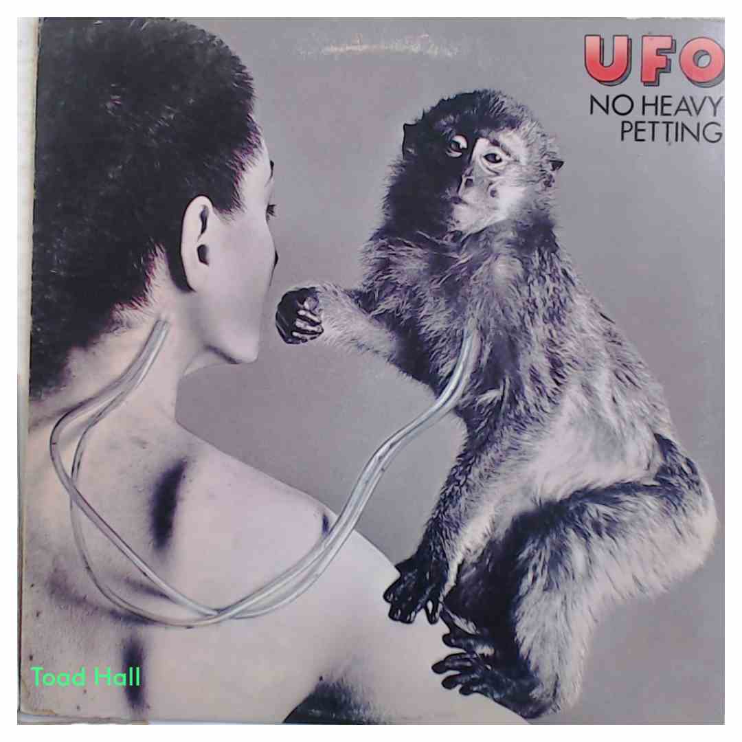 UFO No Heavy Petting Used Vinyl LP