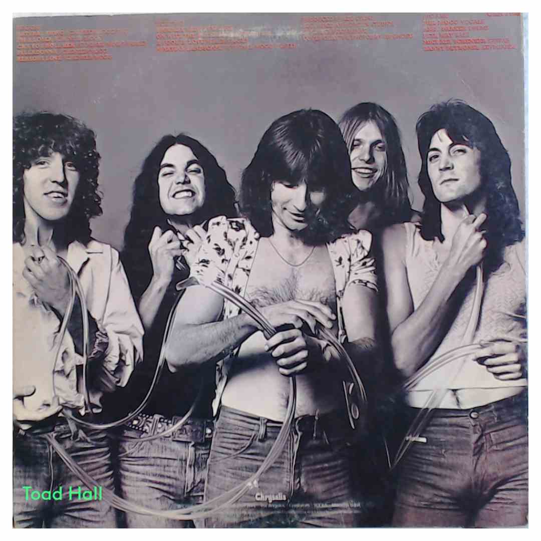 UFO No Heavy Petting Used Vinyl LP