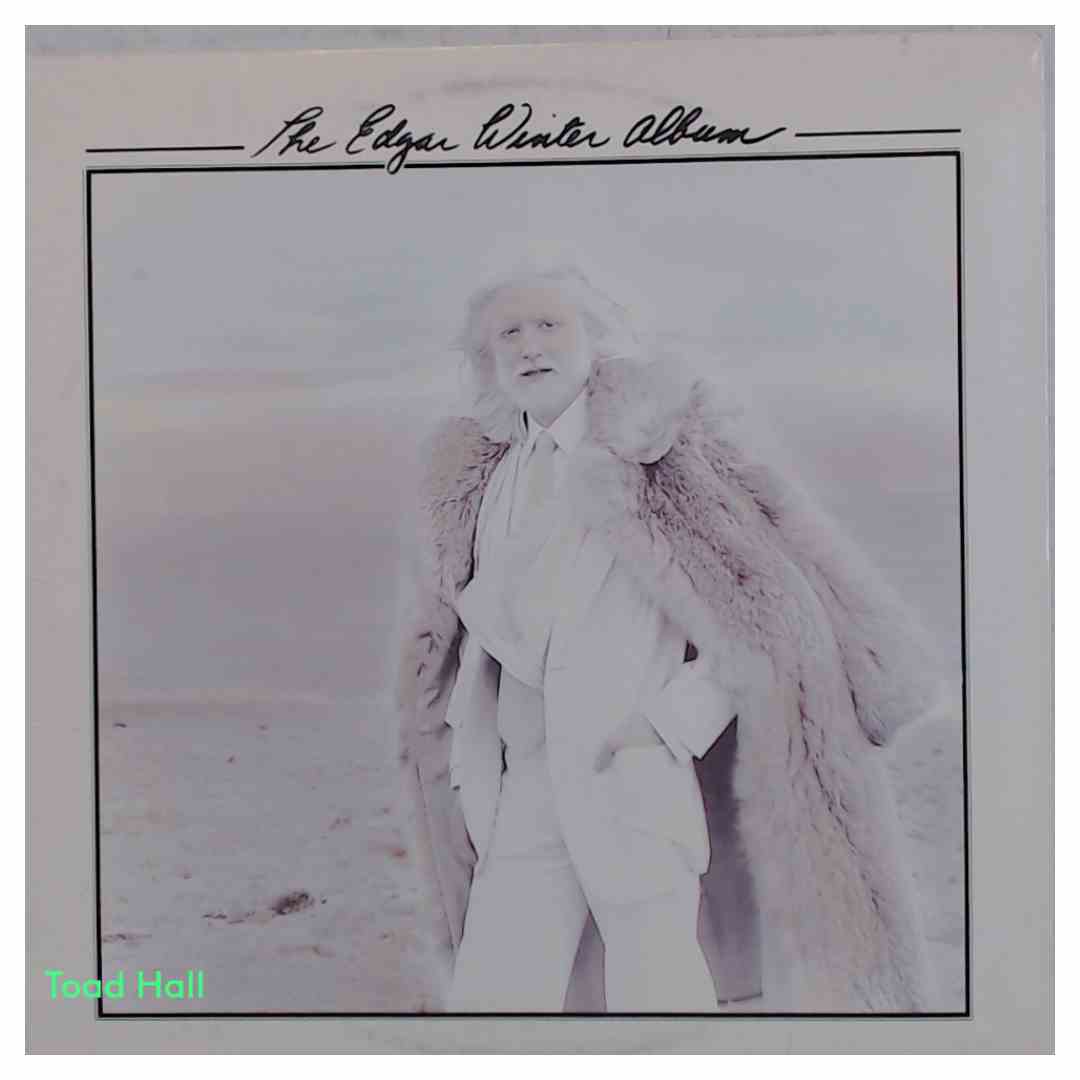 EDGAR WINTER The Edgar Winter Album Used Vinyl LP