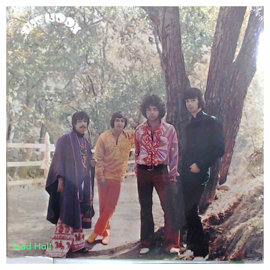 THE HOOK Hooked Vintage Sealed Vinyl LP