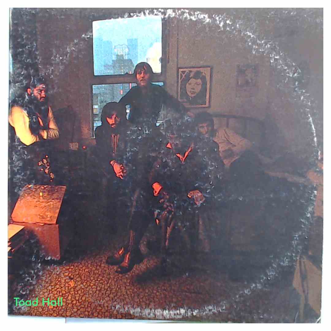 CANNED HEAT & JOHN LEE HOOKER Hooker 'N Heat Used Vinyl LP