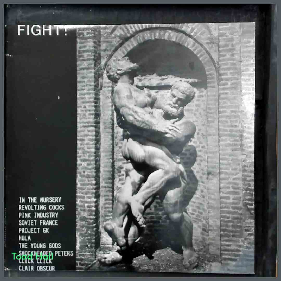 VARIOUS ARTISTS Fight! LP Used Vinyl (Soviet France, Click Click, Clair Obscur, Pink Industry and more!)