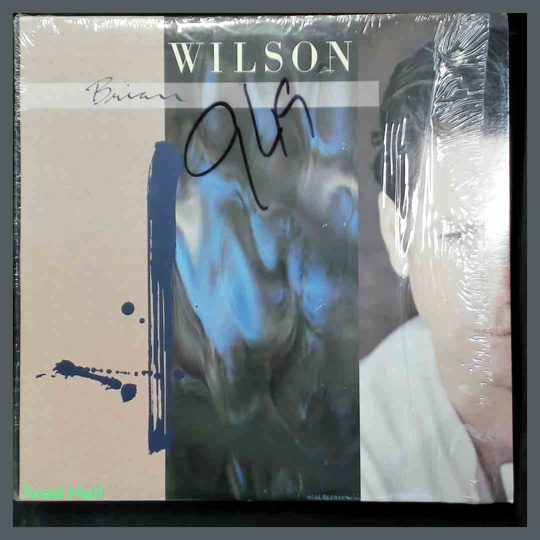 BRIAN WILSON Brian Wilson Used Vinyl LP Import