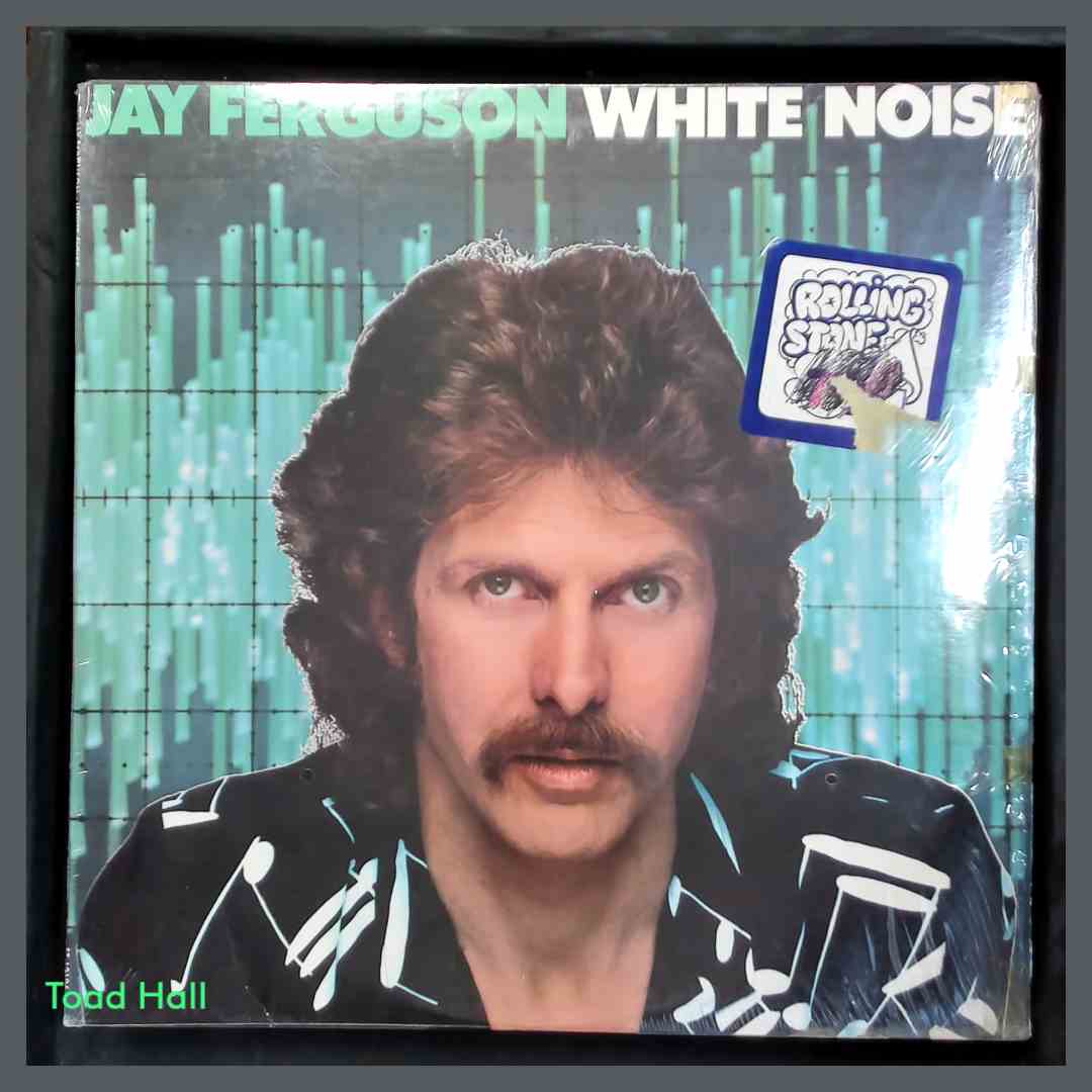 JAY FERGUSON White Noise Used Vinyl LP