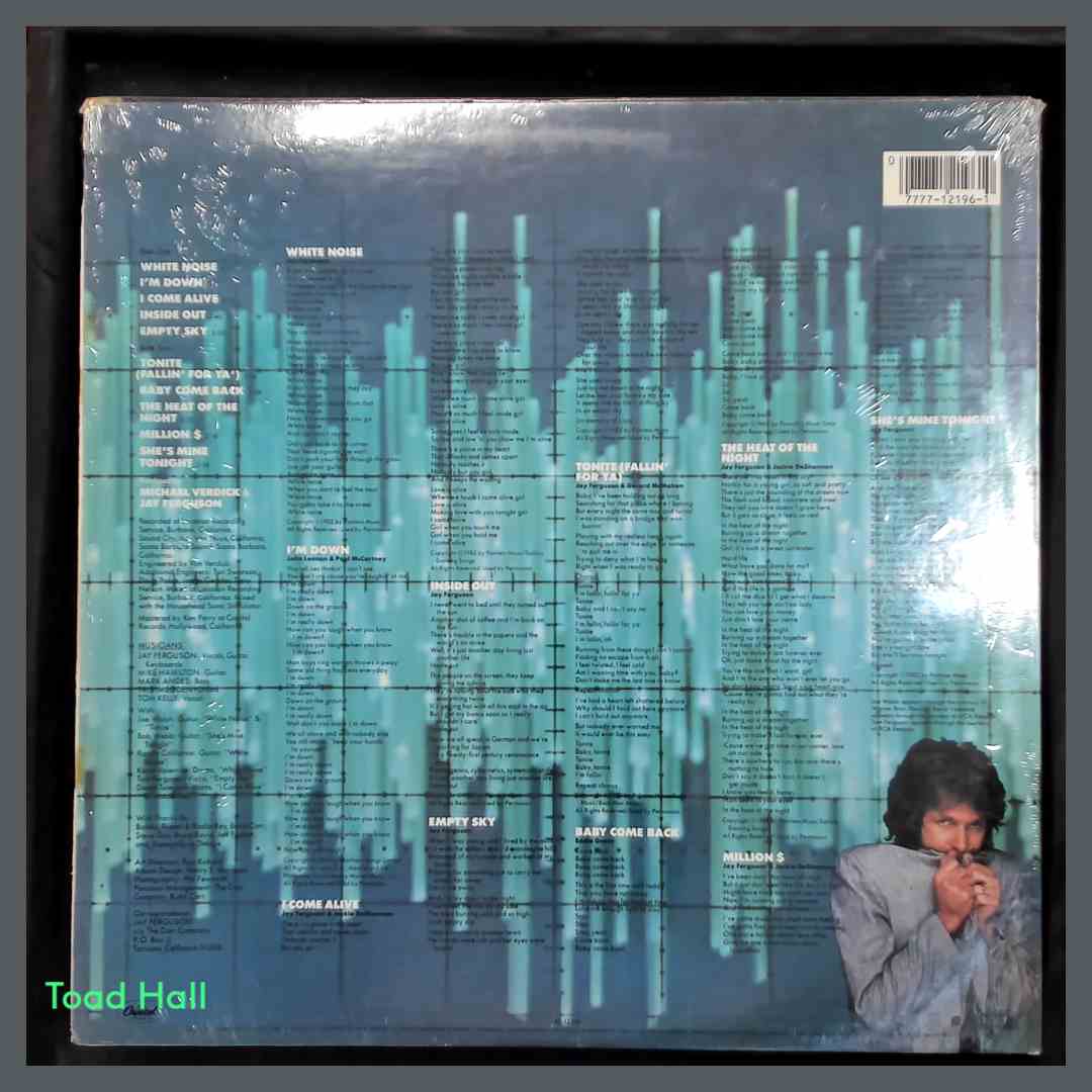 JAY FERGUSON White Noise Used Vinyl LP