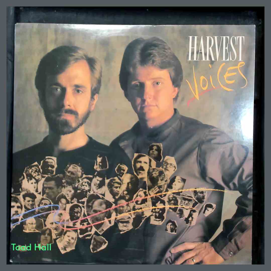HARVEST Voices Used Vinyl LP