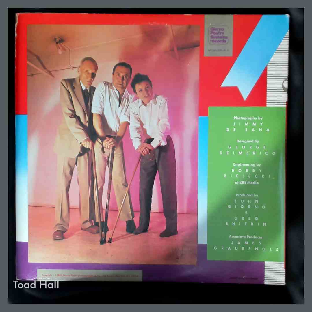 LAURIE ANDERSON / JOHN GIORNO / WILLIAM S BURROUGHS You're The Guy I Want To Share My Money With Used Vinyl LP X2