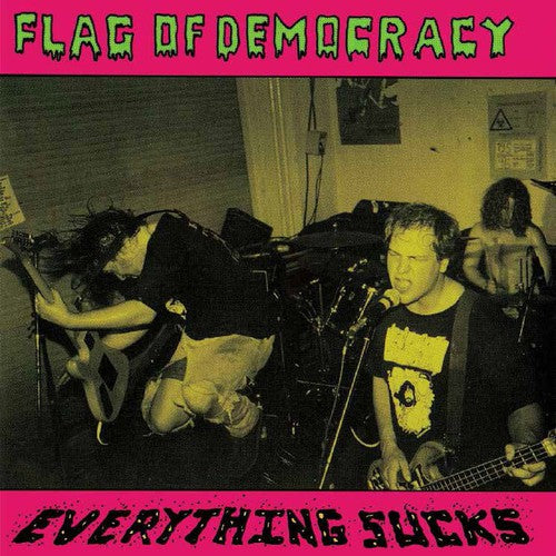 FLAG OF DEMOCRACY Everything Sucks New Vinyl LP RSD 2015