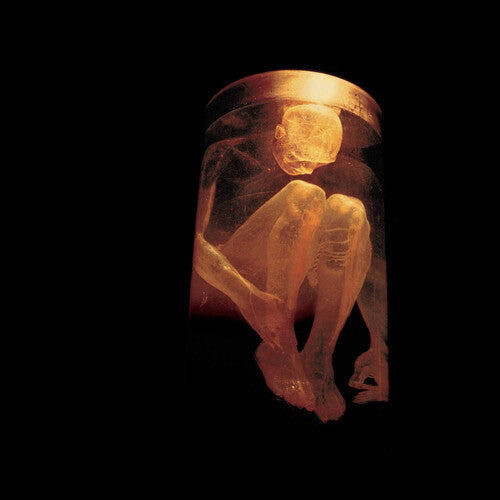 ALICE IN CHAINS Nothing Safe: Best Of New CD