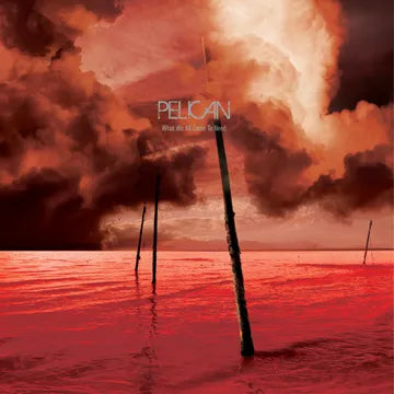 PELICAN What We All Come To Need & Ephemeral RSD BF 2025