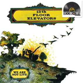 13TH FLOOR ELEVATORS We Are Not Live New Vinyl LP RSD 2026