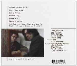 LOREN MAZZACANE-CONNORS / ALAN LICHT Hoffman Estates CD, like new