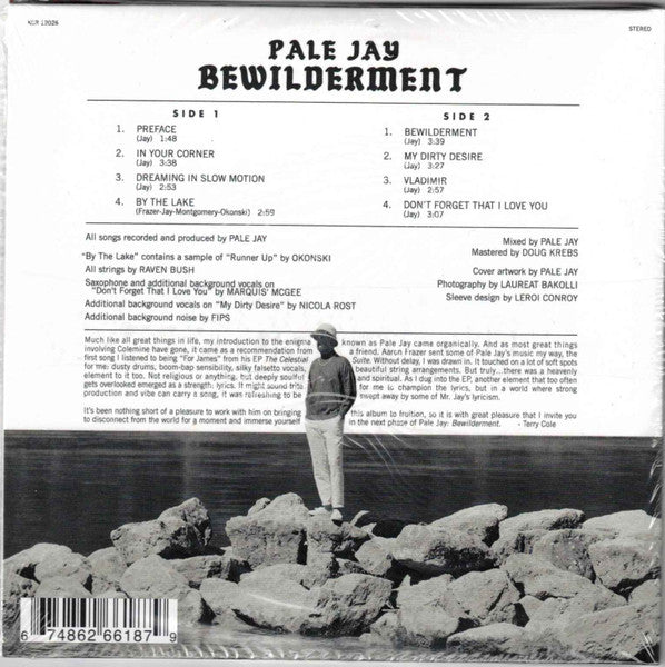 PALE JAY Bewilderment CD, like new