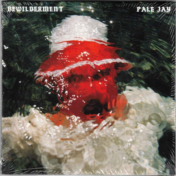 PALE JAY Bewilderment CD, like new
