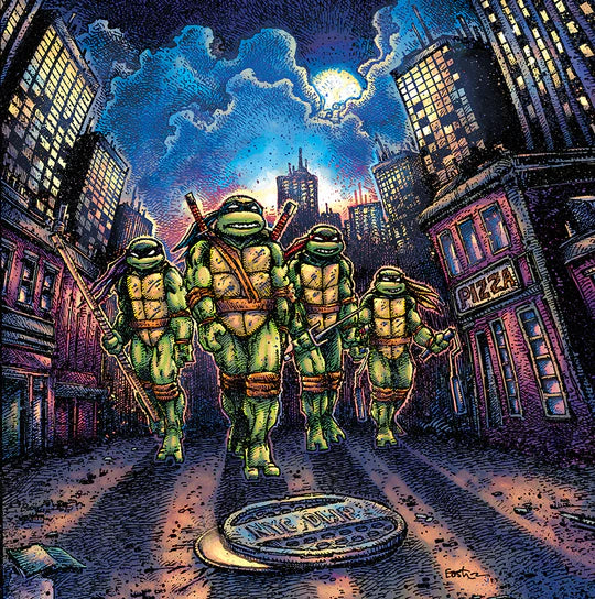 TEENAGE MUTANT NINJA TURTLES Soundtrack New Vinyl LP