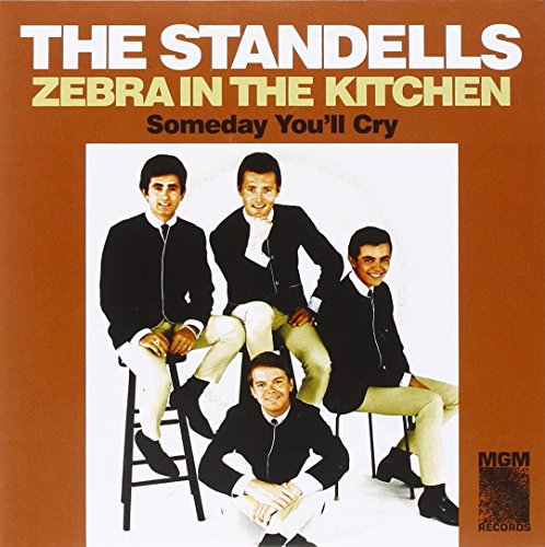 The Standells – Zebra In The Kitchen / Someday You'll Cry Vinyl (RSD 2013)
