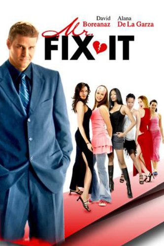 Mr. Fix It - Dvd