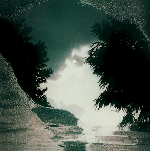 Sad Lovers & Giants - Feeding The Flame - Vinyl