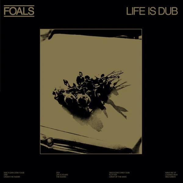 FOALS Life Is Dub New Vinyl LP RSD 2023