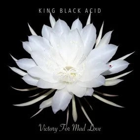 KING BLACK ACID Victory For Mad Love New Vinyl LP RSD 2024