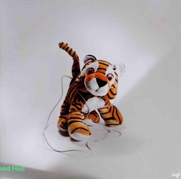 NK - Nothing To Be Gained Here (Clear Vinyl) - Used Vinyl