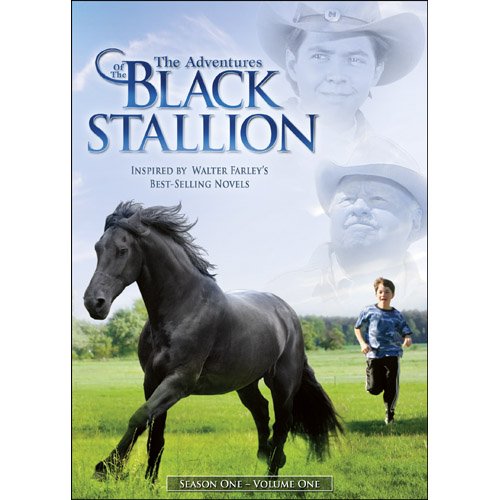 The Adventures of the Black Stallion. Season One, Volume One. - DVD