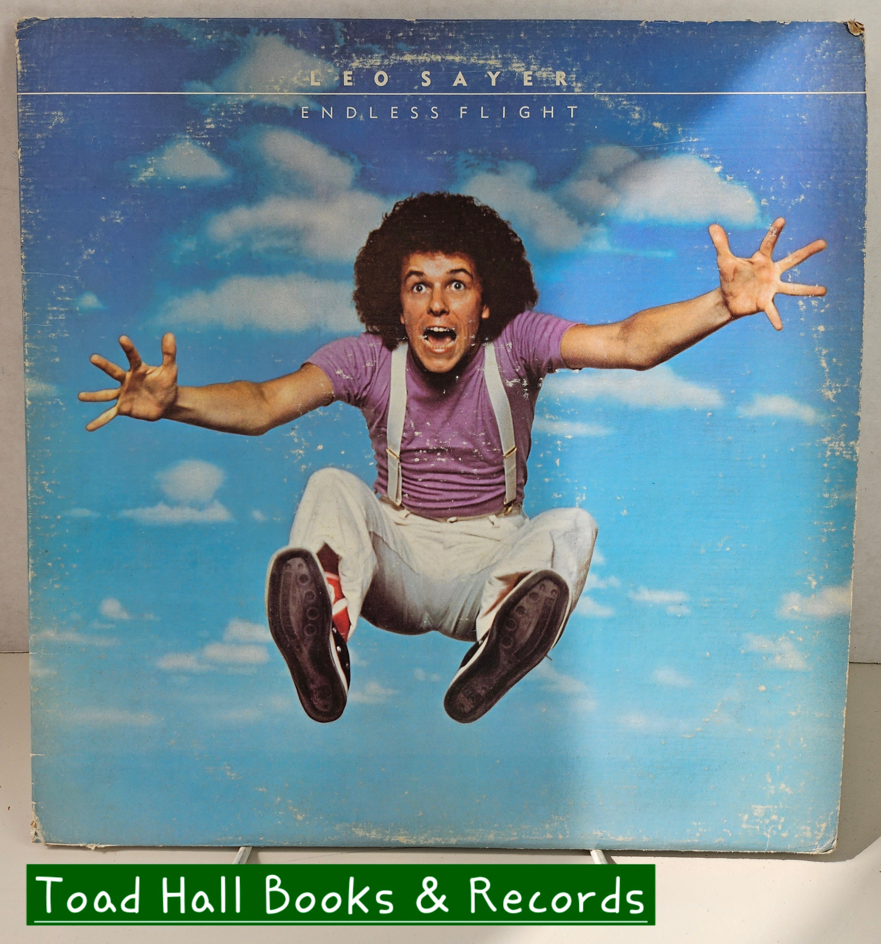 LEO SAYER Endless Flight Used Vinyl LP