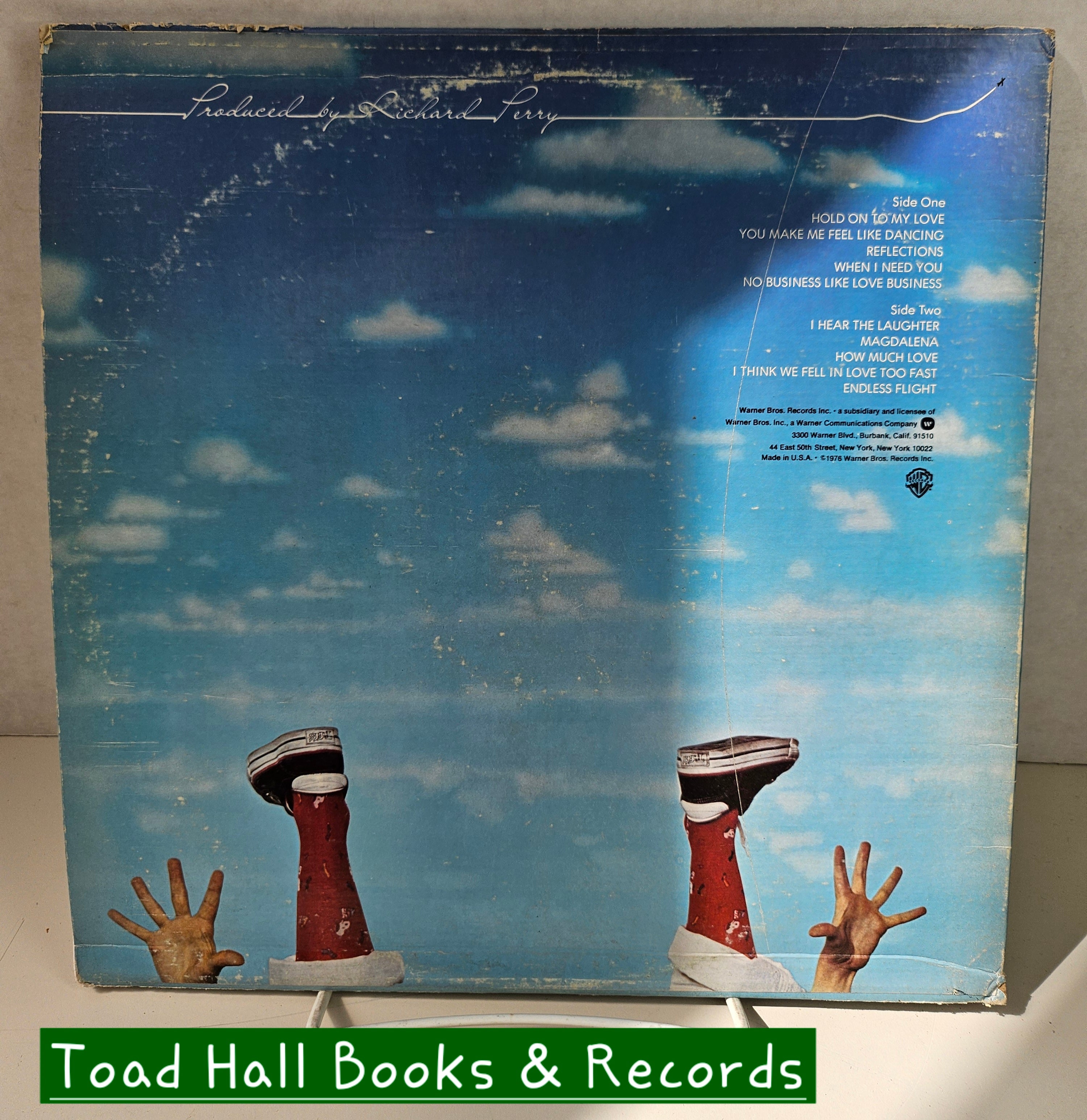 LEO SAYER Endless Flight Used Vinyl LP