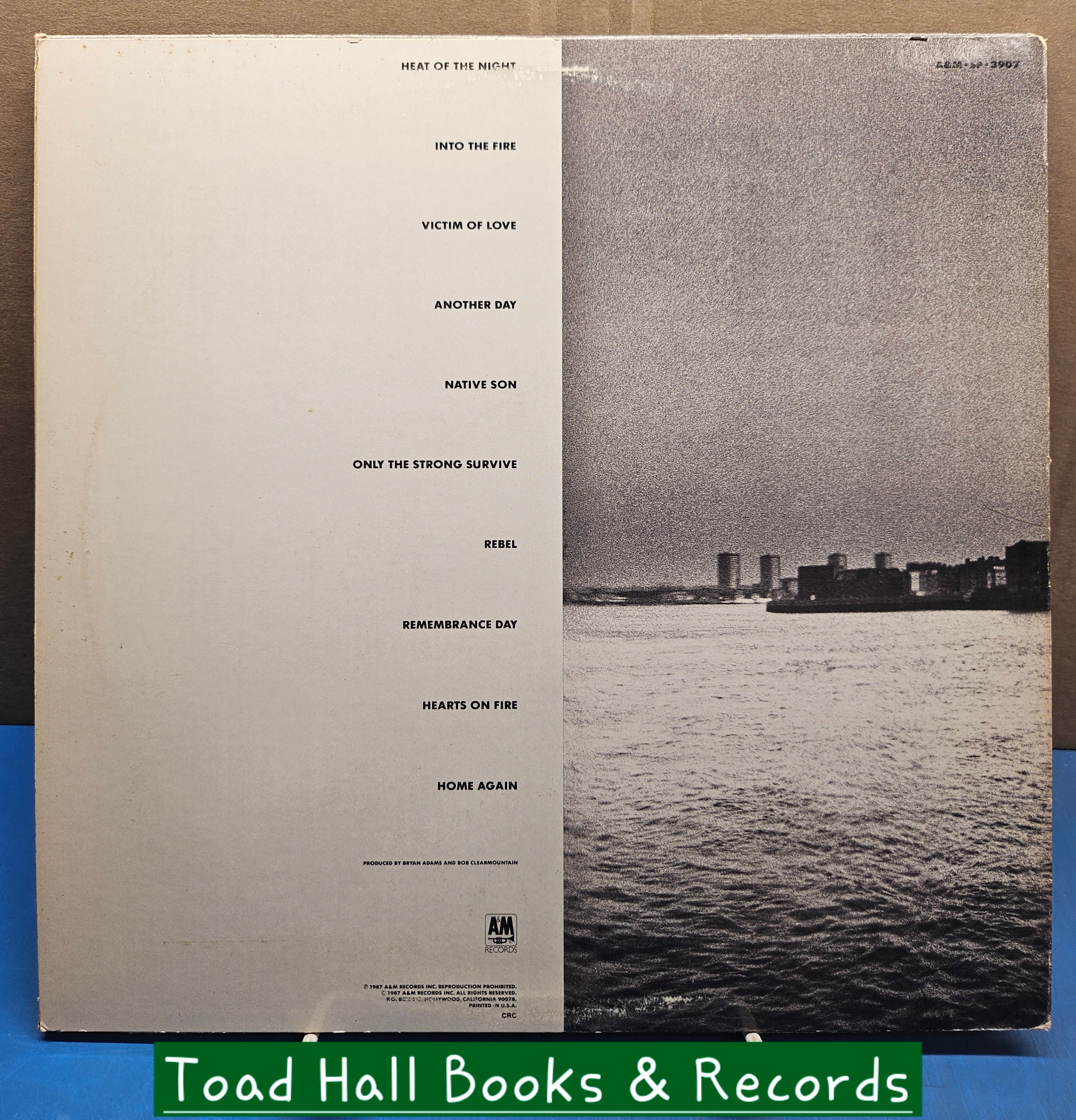 BRYAN ADAMS Into The Fire Used Vinyl LP