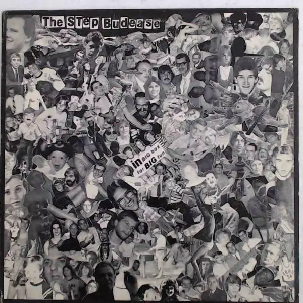 The Step Budease - In Big Box For Big Fun - Used Vinyl
