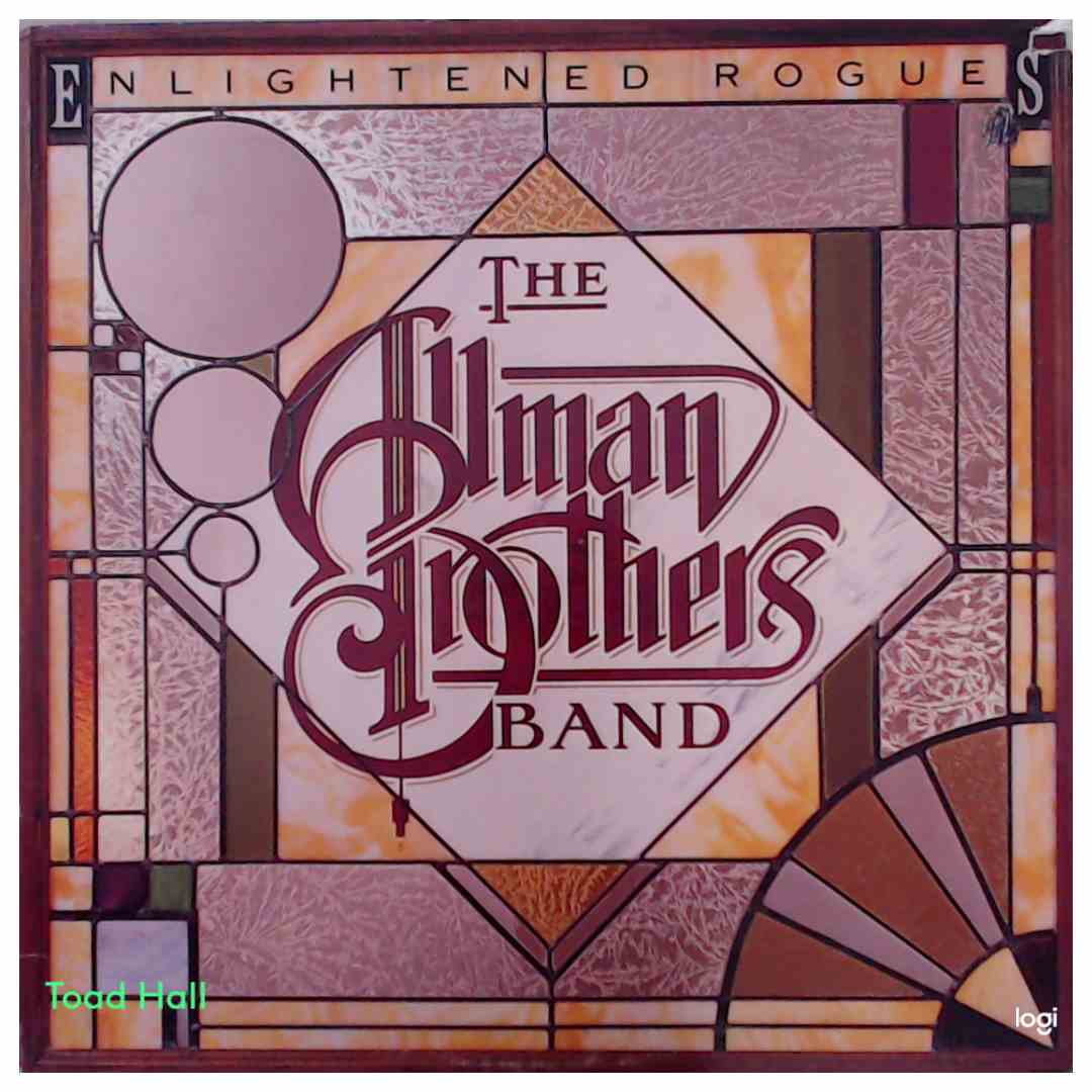 The Allman Brothers Band - Enlightened Rogues - Used Vinyl