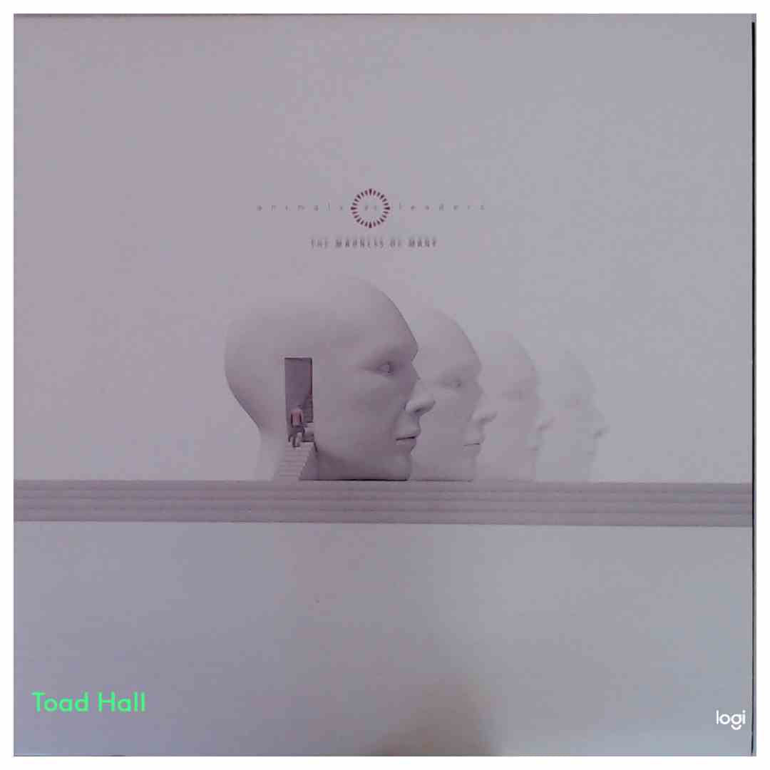 Animals As Leaders - The Madness of Many - Black in Transparent Yellow Vinyl - Used Vinyl