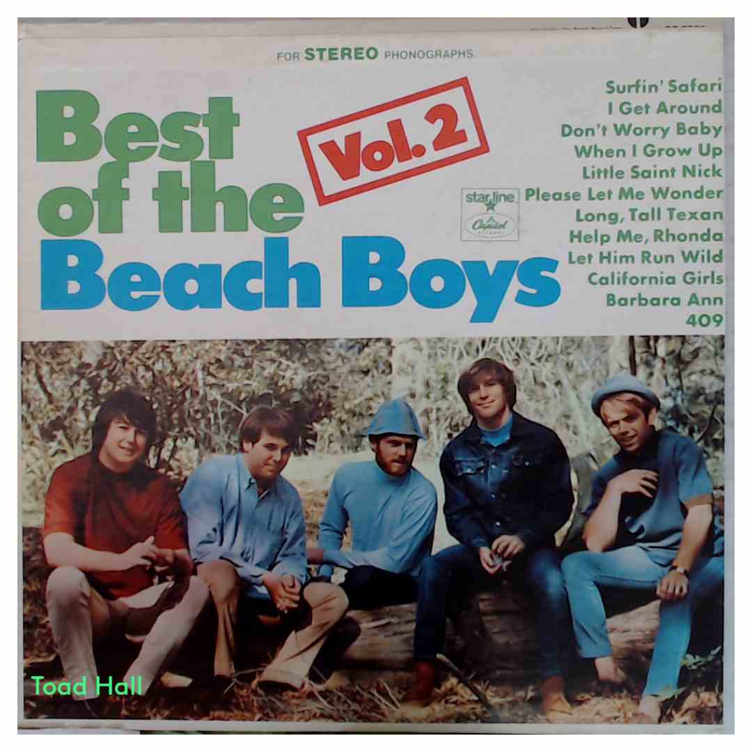 The Beach Boys - Best Of The Beach Boys Vol 2  - Used Vinyl