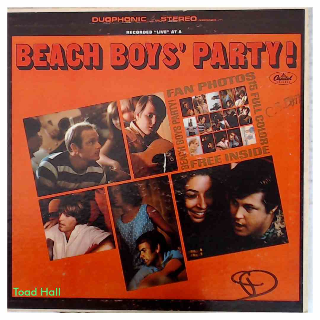 The Beach Boys - Beach Boys' Party! - Used Vinyl