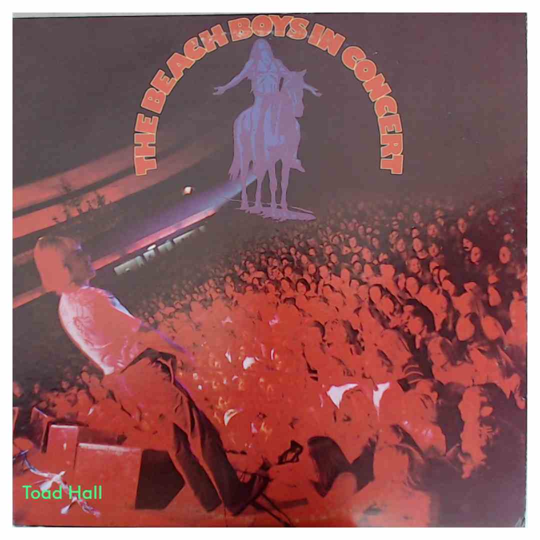 The Beach Boys - In Concert - Used Vinyl