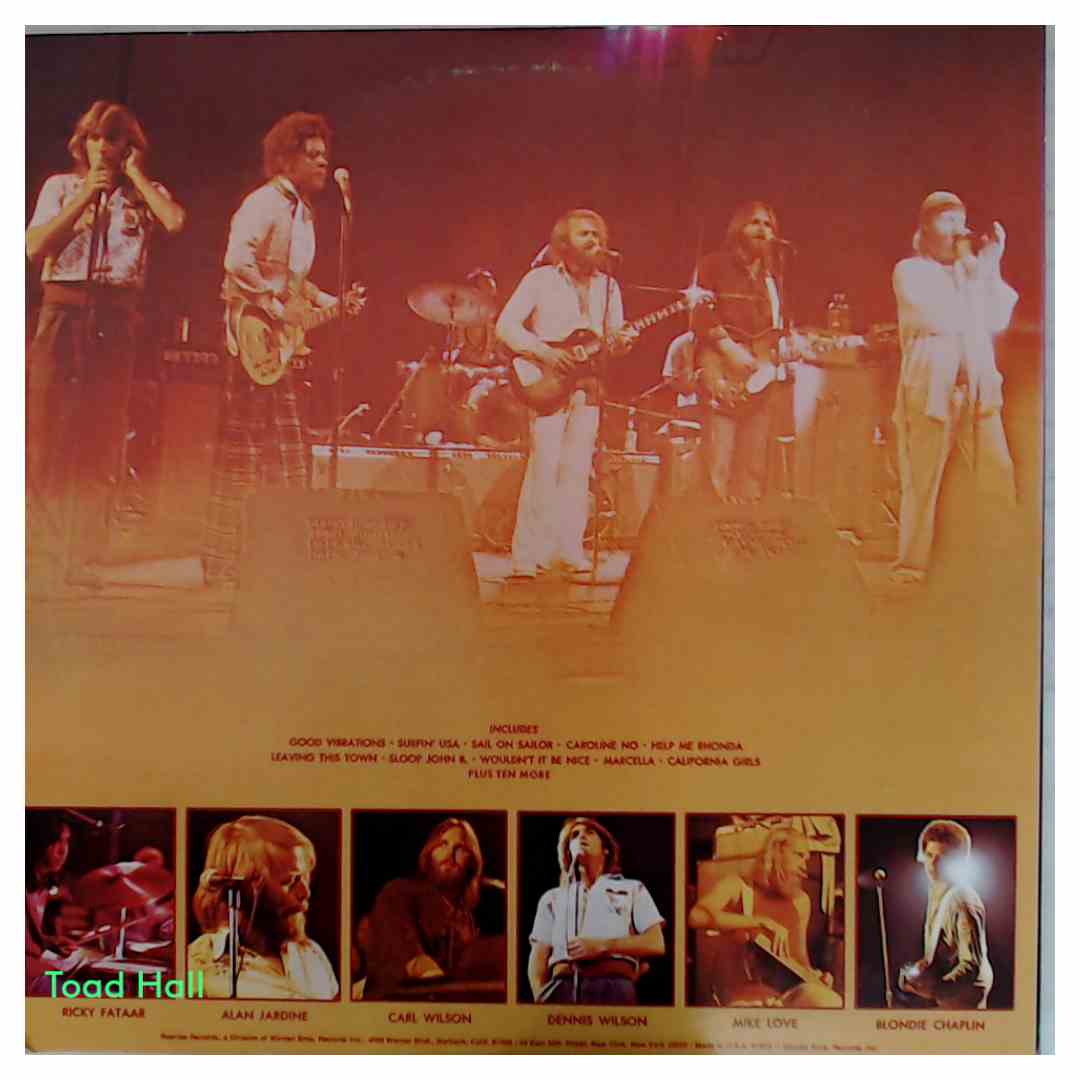 The Beach Boys - In Concert - Used Vinyl
