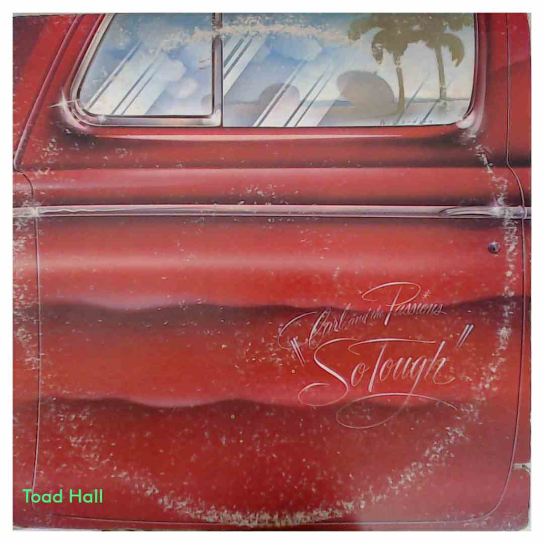 The Beach Boys - Carl And The Passions/Pet Sounds (2 LPs) - Used Vinyl